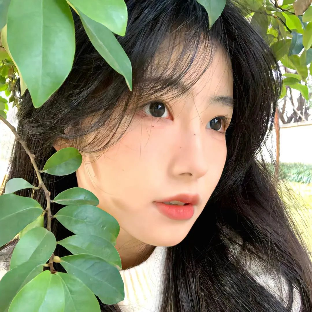 御苑琼霄